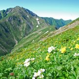日本の国立公園の山の魅力⑫「北岳」